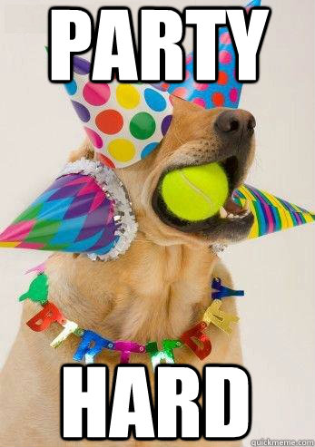 Party HARD  birthday dog