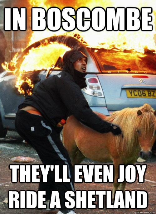in boscombe they'll even joy ride a shetland - in boscombe they'll even joy ride a shetland  Misc