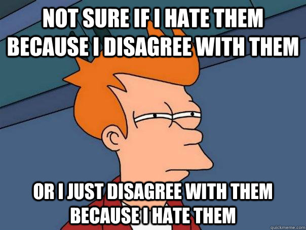 not sure if i hate them because i disagree with them or i just disagree with them because i hate them  Futurama Fry