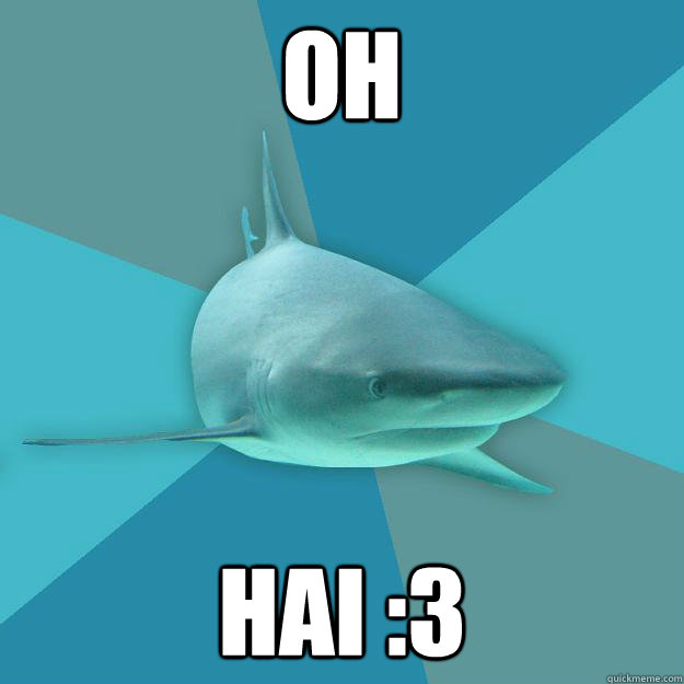 oh hai :3 - oh hai :3  Pragmatic Nerd Shark