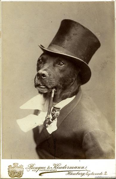 Haha!  -   Old Money Dog