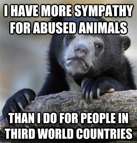 I have more sympathy for abused animals than i do for people in third world countries - I have more sympathy for abused animals than i do for people in third world countries  Confession Bear