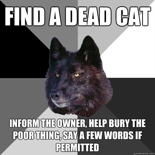 find a dead cat inform the owner, help bury the poor thing, say a few words if permitted   Sanity Wolf