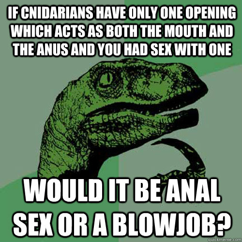 If Cnidarians have only one opening which acts as both the mouth and the anus and you had sex with one Would it be anal sex or a blowjob? - If Cnidarians have only one opening which acts as both the mouth and the anus and you had sex with one Would it be anal sex or a blowjob?  Philosoraptor