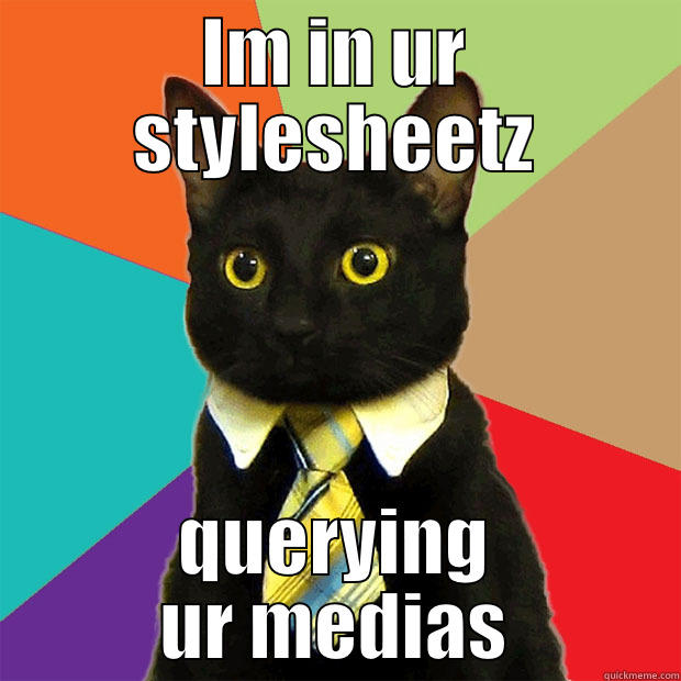IM IN UR STYLESHEETZ QUERYING UR MEDIAS Business Cat