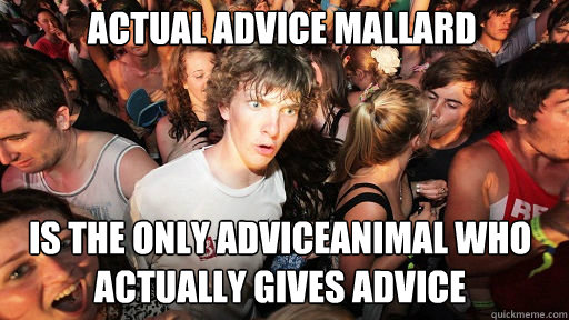 Actual Advice Mallard
 is the only adviceanimal who actually gives advice   Sudden Clarity Clarence