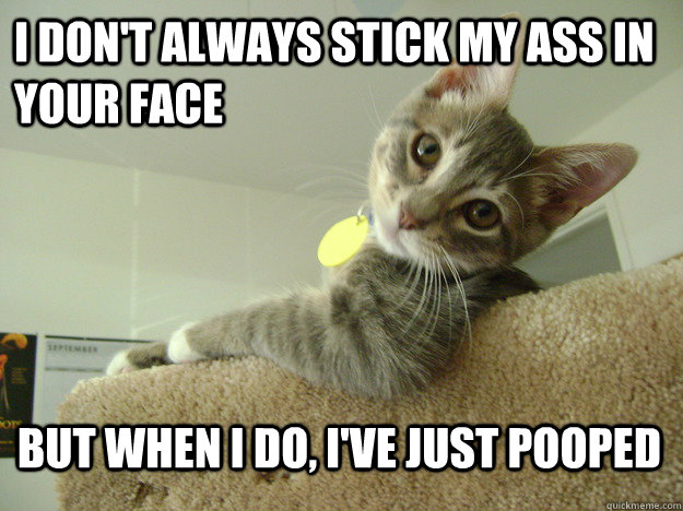 I don't always stick my ass in your face but when I do, I've just pooped  The Most Interesting Cat in the World