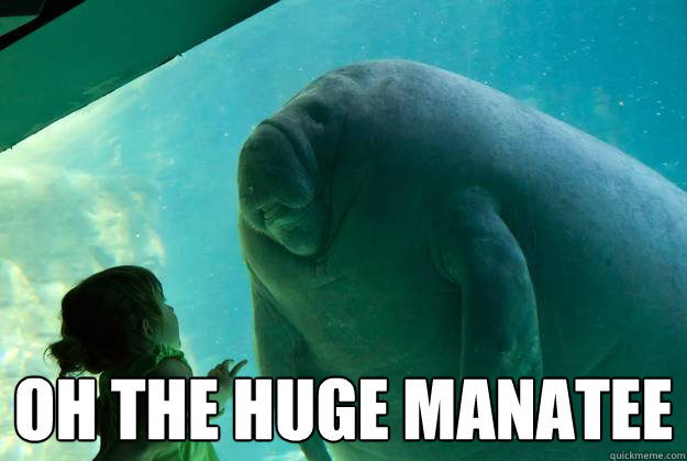  oh the huge manatee -  oh the huge manatee  Overlord Manatee
