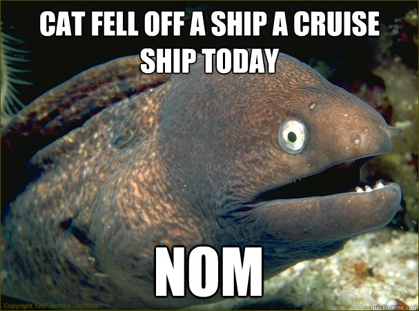 cat fell off a ship a cruise ship today nom  Bad Joke Eel