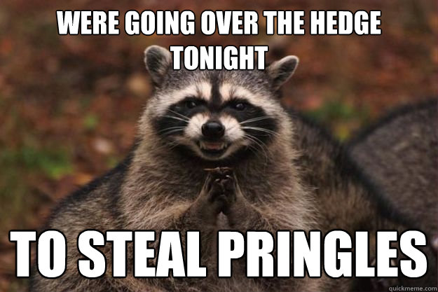 were going over the hedge tonight to steal pringles  Evil Plotting Raccoon