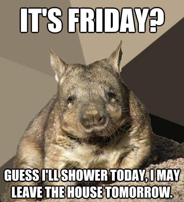 It's Friday? Guess I'll shower today, I may leave the house tomorrow.  Work From Home Wombat