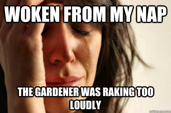 Woken from my nap the gardener was raking too loudly  First World Problems