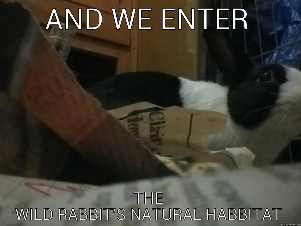 AND WE ENTER THE WILD RABBIT'S NATURAL HABBITAT Misc