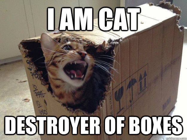 I am cat destroyer of boxes - I am cat destroyer of boxes  schrodinger cat