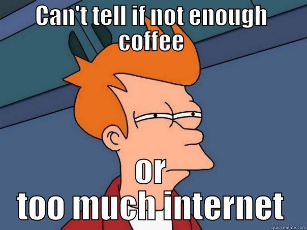 CAN'T TELL IF NOT ENOUGH COFFEE OR TOO MUCH INTERNET Futurama Fry