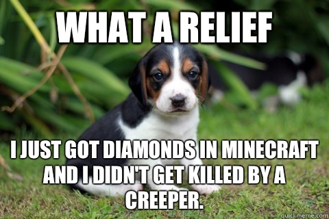 What a relief I just got diamonds in minecraft and I didn't get killed by a creeper.   Happy Puppy