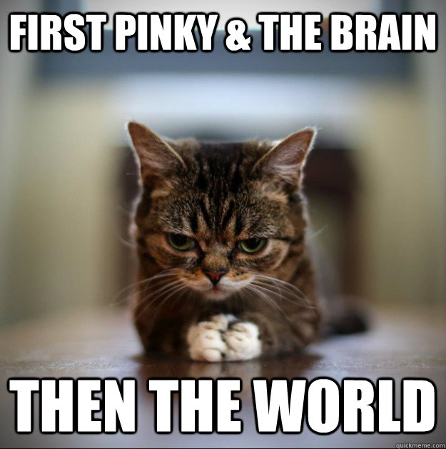 First Pinky & the brain Then the world  