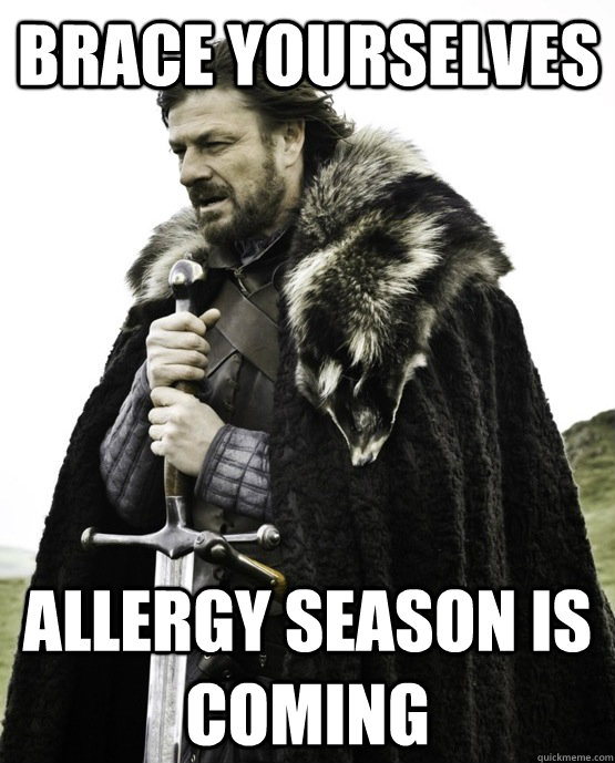 Brace yourselves Allergy season is coming - Brace yourselves Allergy season is coming  ned stark st patrick