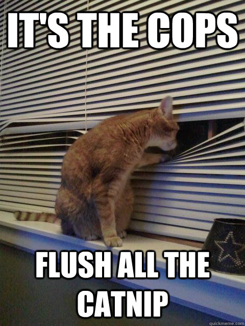 it's the cops flush all the catnip  Peeping Tomcat