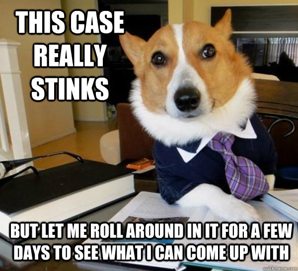 this case really stinks but let me roll around in it for a few days to see what i can come up with   Lawyer Dog