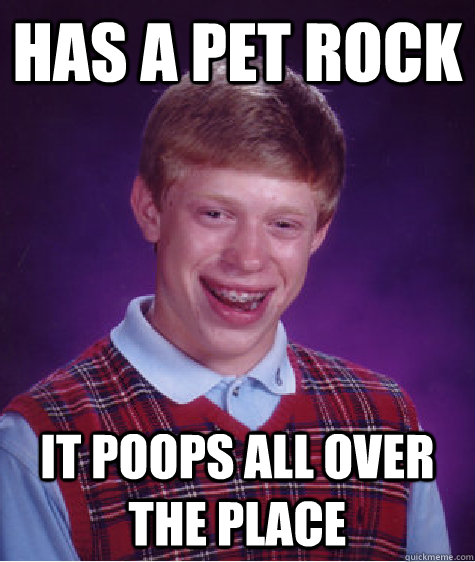 Has a Pet rock it poops all over the place  Bad Luck Brian