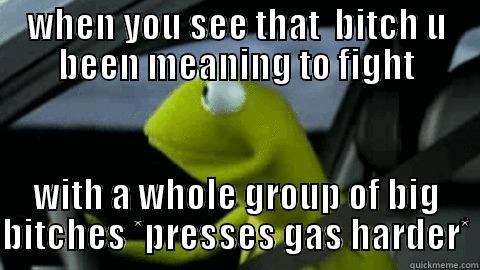 WHEN YOU SEE THAT  BITCH U BEEN MEANING TO FIGHT WITH A WHOLE GROUP OF BIG BITCHES *PRESSES GAS HARDER* Misc