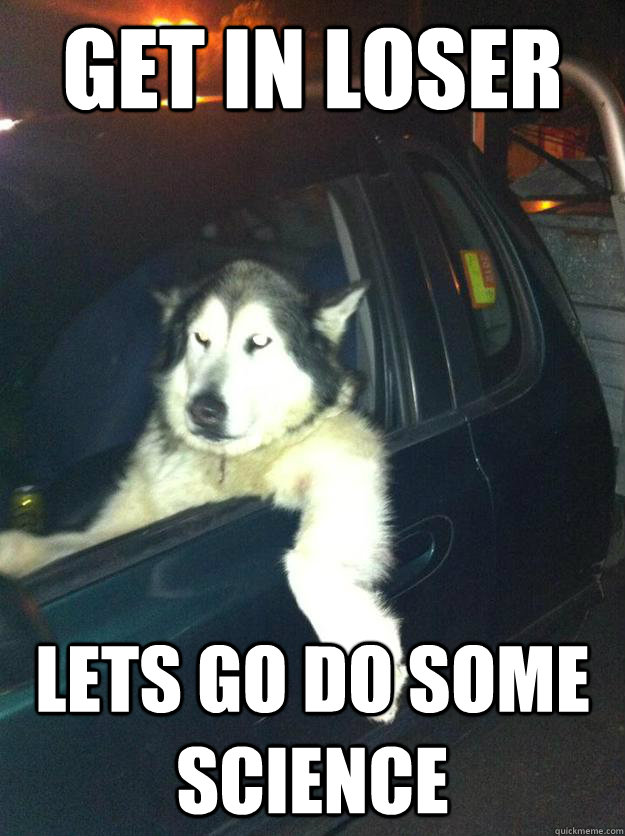 Get in loser Lets go do some science  Mean Dog