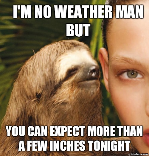 I'm no weather man but You can expect more than a few inches tonight  rape sloth