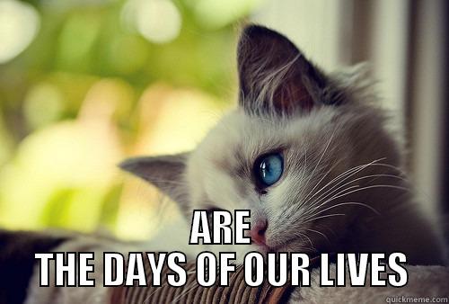 AND THESE -  ARE THE DAYS OF OUR LIVES First World Problems Cat