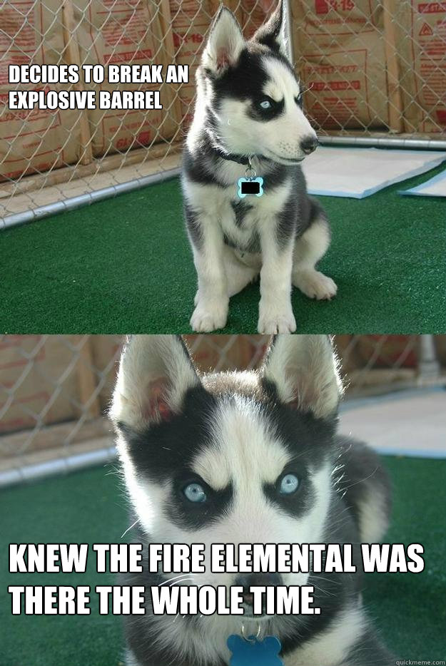 Decides to break an
explosive barrel Knew the fire elemental was there the whole time.  Insanity puppy