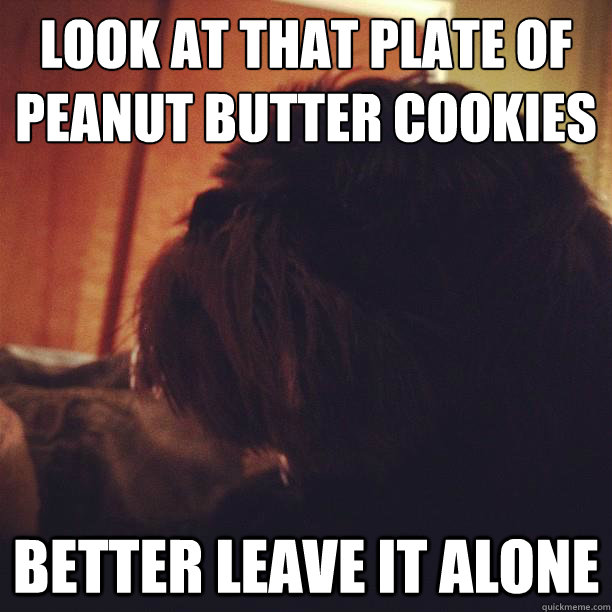 Look at that plate of peanut butter cookies Better leave it alone - Look at that plate of peanut butter cookies Better leave it alone  Good Dog Gus