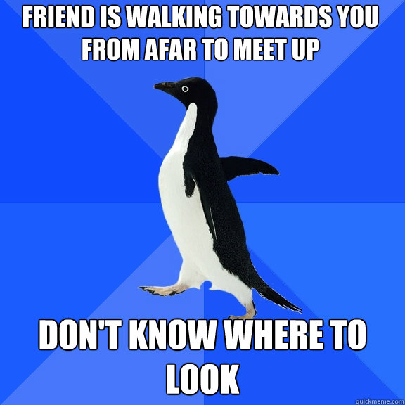 Friend is walking towards you from afar to meet up Don't know where to look  Socially Awkward Penguin