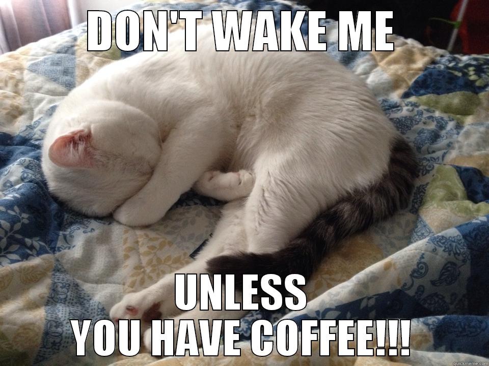 DON'T WAKE ME UNLESS YOU HAVE COFFEE!!! Misc