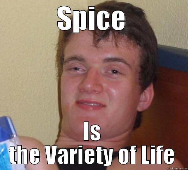 SPICE IS THE VARIETY OF LIFE 10 Guy