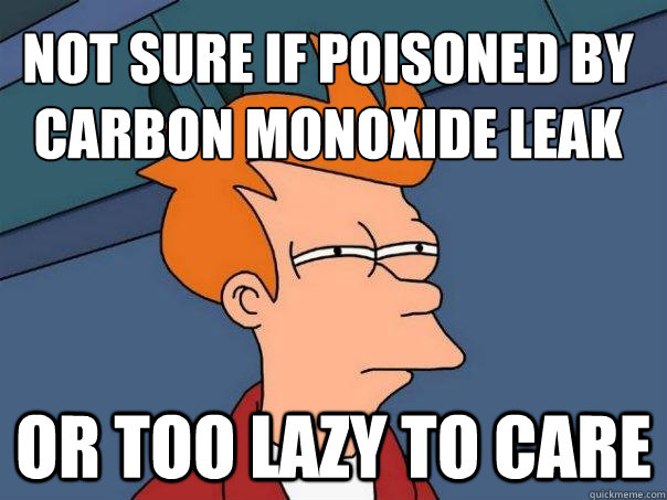 Not sure if poisoned by carbon monoxide leak or too lazy to care - Not sure if poisoned by carbon monoxide leak or too lazy to care  Futurama Fry