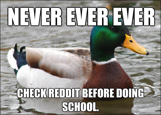  Never ever ever check reddit before doing school.  Actual Advice Mallard