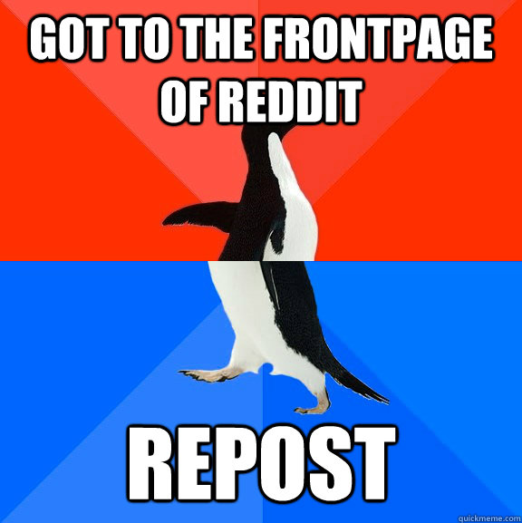 Got to the frontpage of reddit repost  Socially Awesome Awkward Penguin