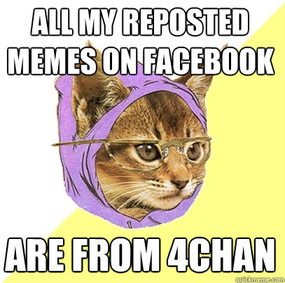 All my reposted memes on Facebook are from 4chan  Hipster Kitty