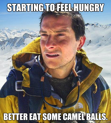 Starting to feel hungry Better eat some camel balls. - Starting to feel hungry Better eat some camel balls.  Bear Grylls