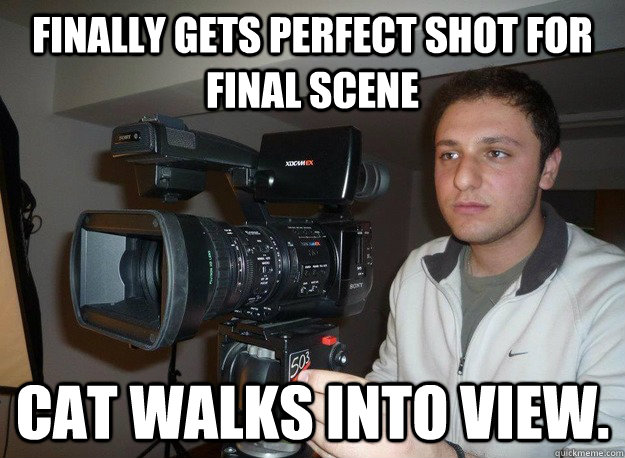 finally gets perfect shot for final scene cat walks into view.  