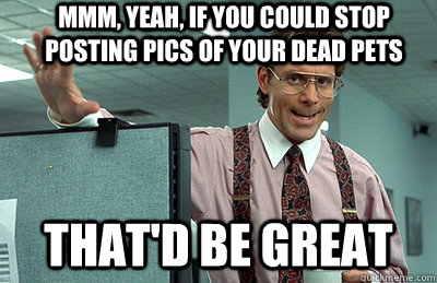 Mmm, yeah, If you could stop posting pics of your dead pets that'd be great  Office Space