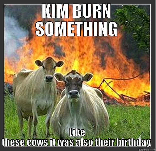 KIM BURN SOMETHING LIKE THESE COWS IT WAS ALSO THEIR BIRTHDAY  Evil cows