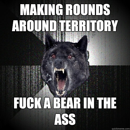 Making rounds around territory Fuck a bear in the ass  Insanity Wolf