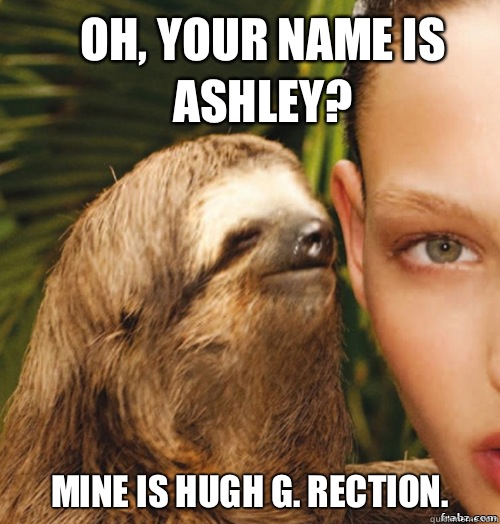 Oh, your name is Ashley? Mine is Hugh G. Rection.  rape sloth