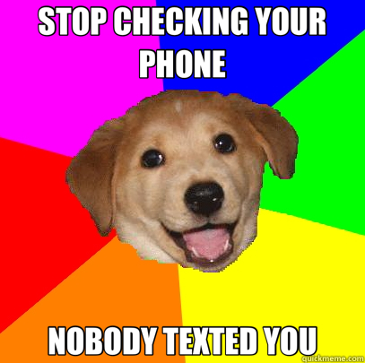 STOP CHECKING YOUR PHONE NOBODY TEXTED YOU  Advice Dog