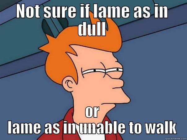 lkdsjflksjflkwo 9 9 9 9  - NOT SURE IF LAME AS IN DULL OR LAME AS IN UNABLE TO WALK Futurama Fry