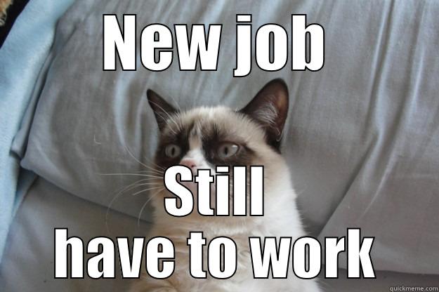 NEW JOB STILL HAVE TO WORK Grumpy Cat