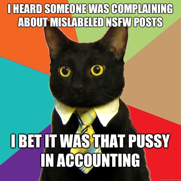I heard someone was complaining about mislabeled NSFW posts I bet it was that pussy in accounting  Business Cat