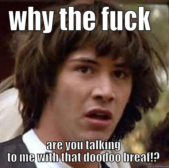 WHY THE FUCK  ARE YOU TALKING TO ME WITH THAT DOODOO BREAF!? conspiracy keanu