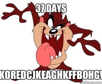 37 DAYS GDSVBKOREDCJKEAGHKFFBOHGVZDHHL  Horny Tasmanian Devil
